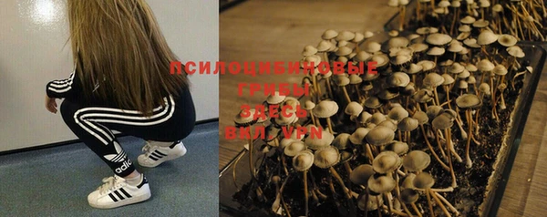 метадон Балахна