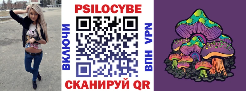 Купить закладки Гаврилов Посад Псилоцибиновые грибы Magic Shrooms